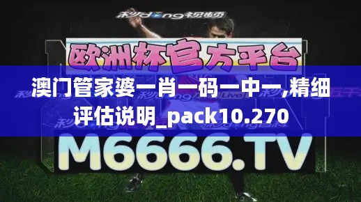 澳门管家婆一肖一码一中一,精细评估说明_pack10.270