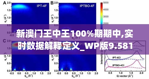 新澳门王中王100%期期中,实时数据解释定义_WP版9.581