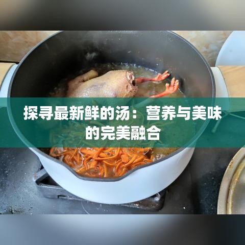 探寻最新鲜的汤：营养与美味的完美融合