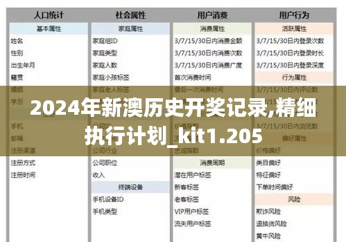 2024年新澳历史开奖记录,精细执行计划_kit1.205