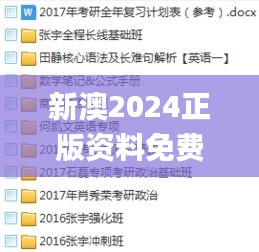 新澳2024正版资料免费公开,高效性实施计划解析_娱乐版8.744