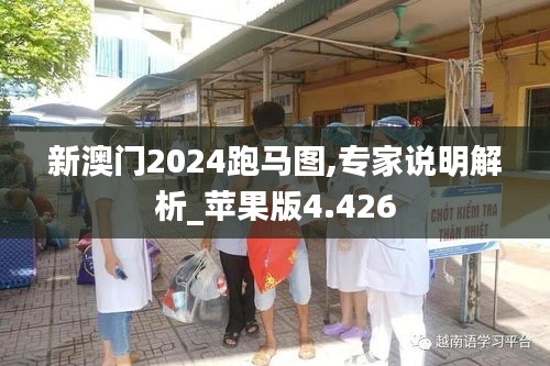 新澳门2024跑马图,专家说明解析_苹果版4.426