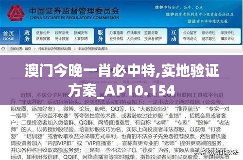 澳门今晚一肖必中特,实地验证方案_AP10.154