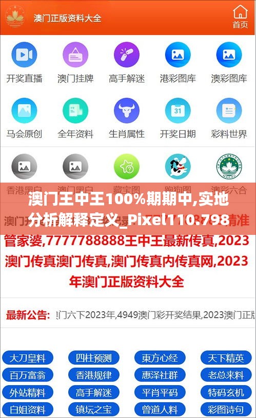 澳门王中王100%期期中,实地分析解释定义_Pixel110.798