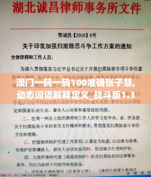 澳门一码一码100准确张子慧,动态词语解释定义_战斗版1.344