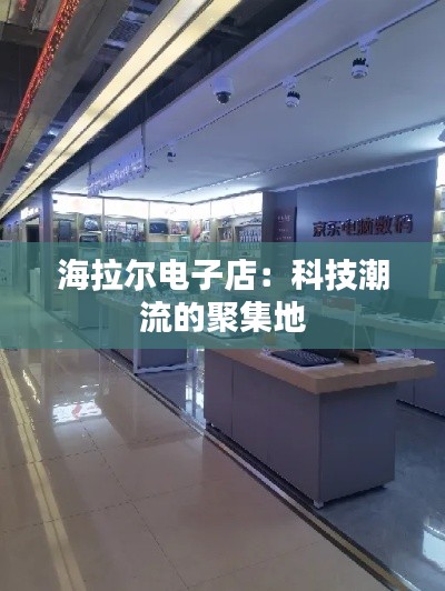 海拉尔电子店：科技潮流的聚集地