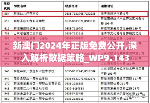 新澳门2024年正版免费公开,深入解析数据策略_WP9.143