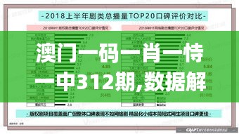 澳门一码一肖一恃一中312期,数据解析支持方案_精英款7.616