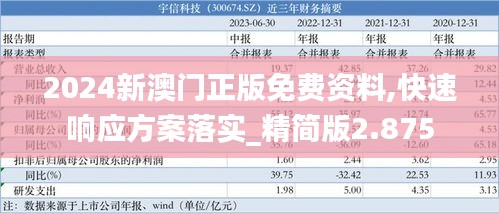 2024新澳门正版免费资料,快速响应方案落实_精简版2.875