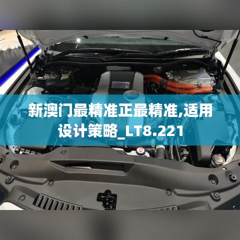 新澳门最精准正最精准,适用设计策略_LT8.221