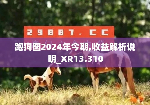 跑狗图2024年今期,收益解析说明_XR13.310