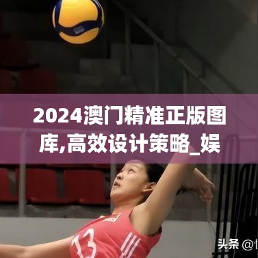 2024澳门精准正版图库,高效设计策略_娱乐版1.799