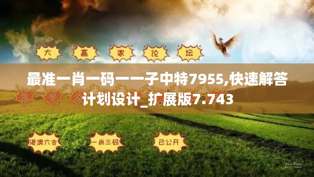 最准一肖一码一一子中特7955,快速解答计划设计_扩展版7.743