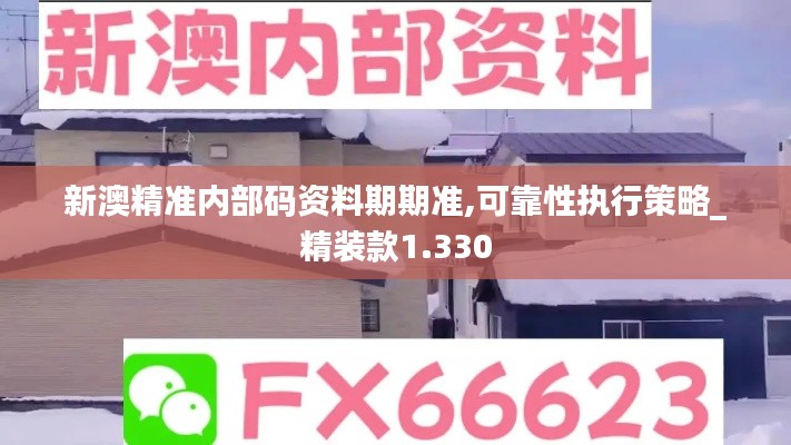 新澳精准内部码资料期期准,可靠性执行策略_精装款1.330