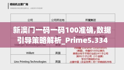 新澳门一码一码100准确,数据引导策略解析_Prime5.334