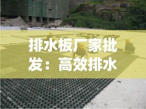 排水板厂家批发：高效排水解决方案的优质选择