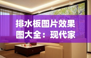 排水板图片效果图大全：现代家居装饰的新宠