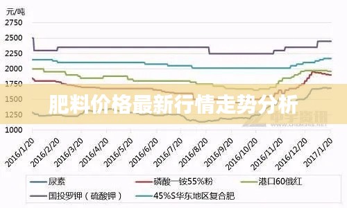 肥料价格最新行情走势分析