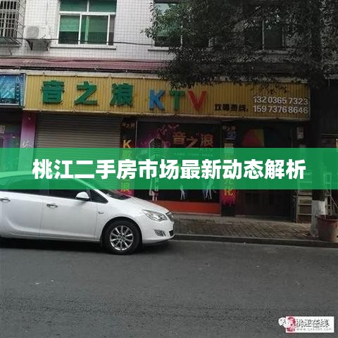 桃江二手房市场最新动态解析