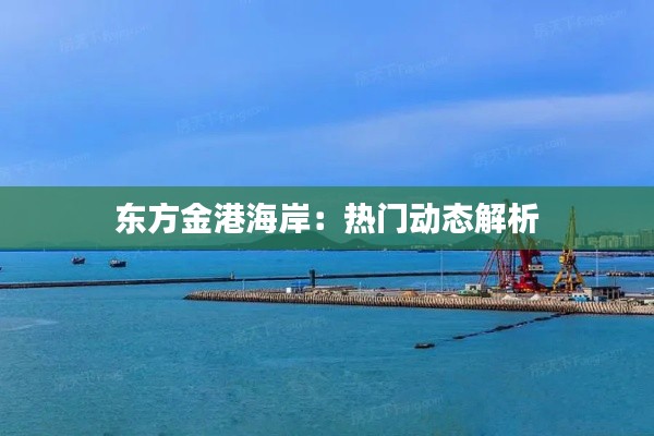 东方金港海岸：热门动态解析