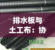 排水板与土工布：协同作用，打造高效排水系统