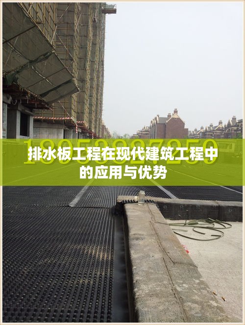 排水板工程在现代建筑工程中的应用与优势