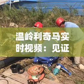 温岭利奇马实时视频：见证台风的破坏力与救援力量