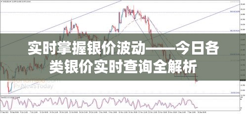 实时掌握银价波动——今日各类银价实时查询全解析