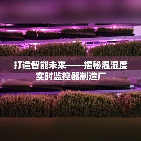 打造智能未来——揭秘温湿度实时监控器制造厂