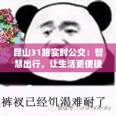 昆山31路实时公交：智慧出行，让生活更便捷