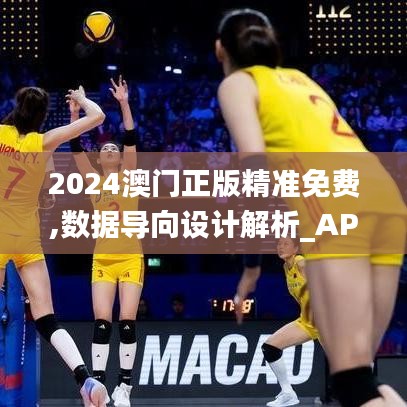 2024澳门正版精准免费,数据导向设计解析_AP10.370