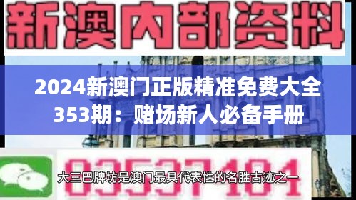 2024新澳门正版精准免费大全353期：赌场新人必备手册