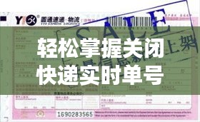 轻松掌握关闭快递实时单号的方法，保障个人信息安全