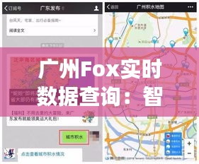 广州Fox实时数据查询：智慧城市的数据脉搏