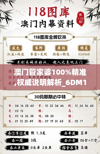 澳门管家婆100%精准,权威说明解析_6DM19.887