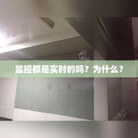 虫言鸟迹