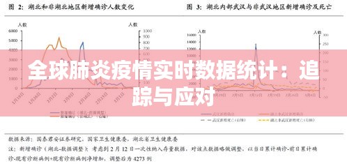 全球肺炎疫情实时数据统计：追踪与应对