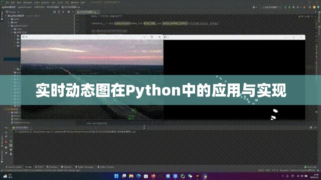 实时动态图在Python中的应用与实现