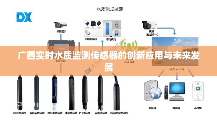 广西实时水质监测传感器的创新应用与未来发展