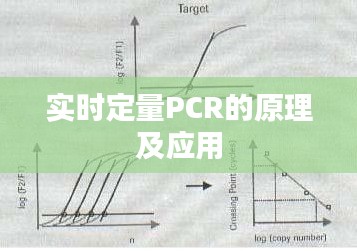 实时定量PCR的原理及应用