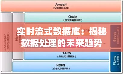 2024年12月19日 第12页