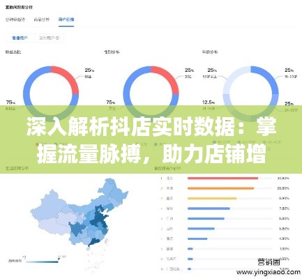 深入解析抖店实时数据：掌握流量脉搏，助力店铺增长