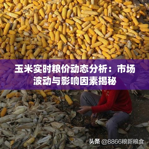 玉米实时粮价动态分析：市场波动与影响因素揭秘