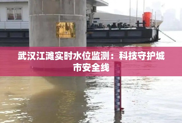 武汉江滩实时水位监测：科技守护城市安全线