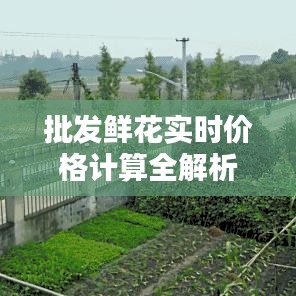 批发鲜花实时价格计算全解析