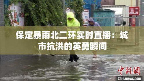 保定暴雨北二环实时直播：城市抗洪的英勇瞬间