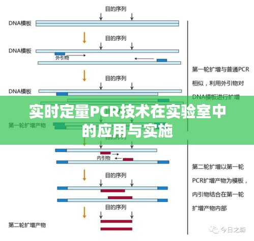 实时定量PCR技术在实验室中的应用与实施