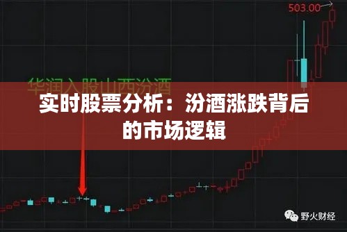 实时股票分析：汾酒涨跌背后的市场逻辑