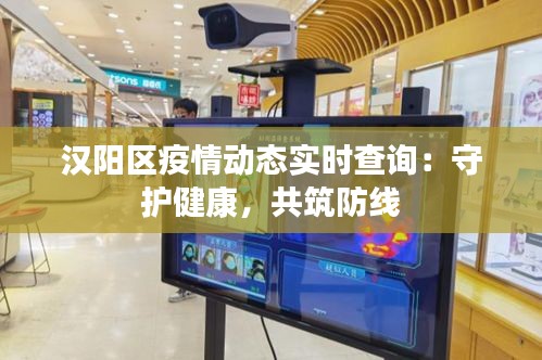 汉阳区疫情动态实时查询：守护健康，共筑防线