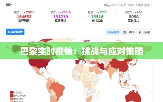 2024年12月20日 第13页